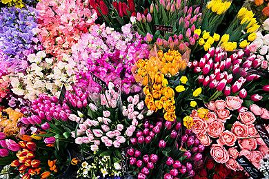 《街头霸王6》《间谍过家家》联动活动实机 活动已上线